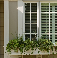 window-box