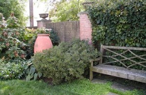 Large Garden Pot