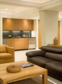 Basement Suite