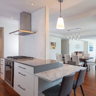 grey and white modern kitchen